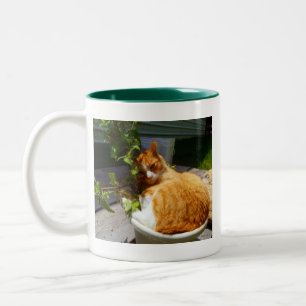 Schraper in een pot tweekleurige koffiemok