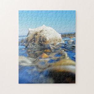 Schrappen in water legpuzzel