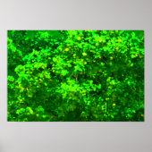 Schrappen Poster (Voorkant)