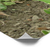 Schrapper in de tuin poster (Hoek)