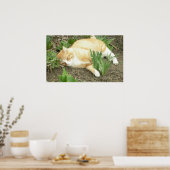 Schrapper in de tuin poster (Keuken)