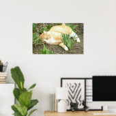 Schrapper in de tuin poster (Thuiskantoor)