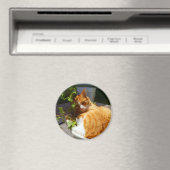 Schrapper in een pot magneet (Insitu (Vaatwasser))