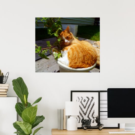 Schrapper in een pot poster (Thuiskantoor)