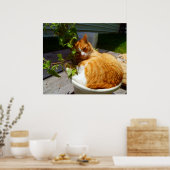 Schrapper in een pot poster (Keuken)
