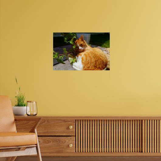 Schrapper in een pot poster (Woonkamer 2)