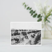 Schrapping van het Arizona-kanaal Briefkaart (Staand voorkant)