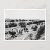 Schrapping van het Arizona-kanaal Briefkaart (Voorkant)