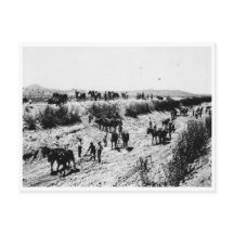 Schrapping van het Arizona-kanaal