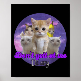 Schreeuw niet tegen me, ik huil een droevige kat poster
