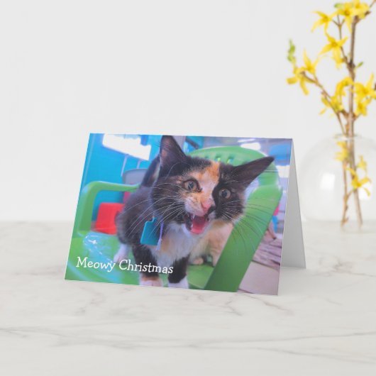 Schreeuwend Katje Kaart (Gele Bloem)