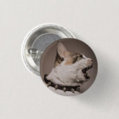 Schreeuwende Calico Cat Pin Ronde Button 3,2 Cm (Voorkant /achterkant)