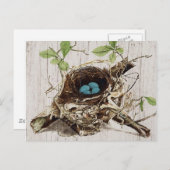 schrift ephemera vogelnest botanisch frans briefkaart (Voorkant / Achterkant)