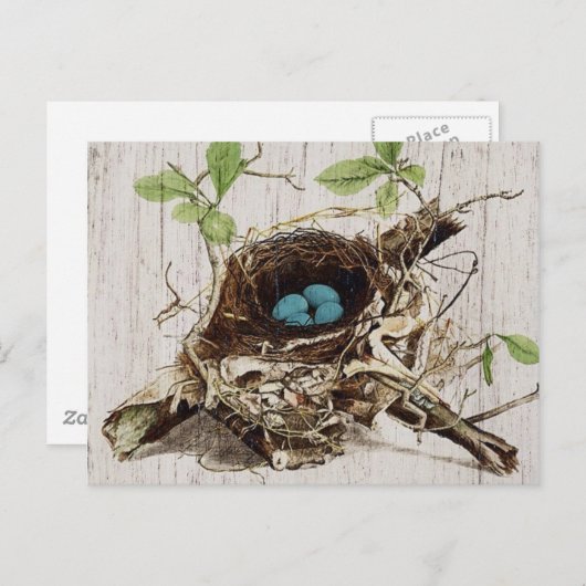 schrift ephemera vogelnest botanisch frans briefkaart (Voorkant / Achterkant)