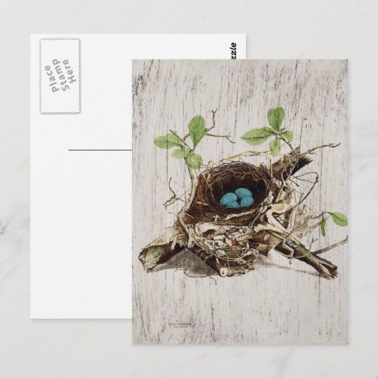 schrift ephemera vogelnest botanisch frans briefkaart (Voorkant / Achterkant)