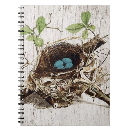  schrift ephemera vogelnest botanisch frans notitieboek (Voorkant)