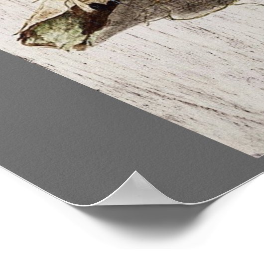  schrift ephemera vogelnest botanisch frans poster (Hoek)