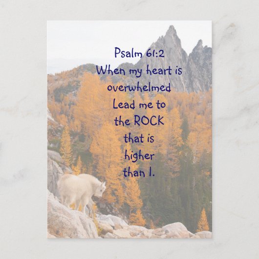Schrift Psalm 61:2 Rots Hoger dan ik ben Briefkaart (Voorkant)
