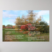 Schrift Sjabloon, Psalm 23, Het Onze Vader Poster (Voorkant)