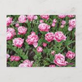 Schriftmeditatie en geheugenkaart briefkaart (Achterkant)