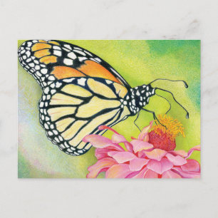 Schrijf briefkaarten aan de Democraten - Butterfly