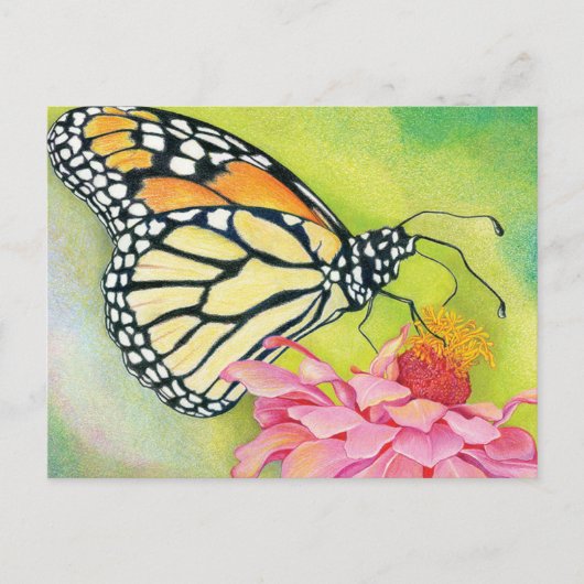 Schrijf briefkaarten aan de Democraten - Butterfly (Voorkant)