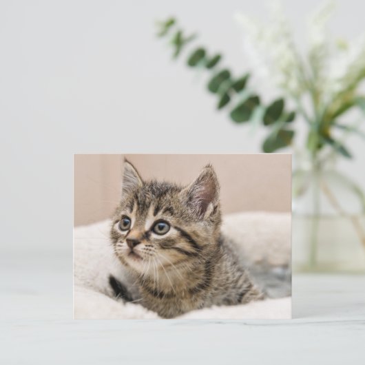 Schrijfkaartje Briefkaart (Staand voorkant)