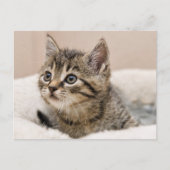 Schrijfkaartje Briefkaart (Voorkant)