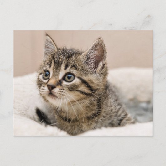 Schrijfkaartje Briefkaart (Voorkant)