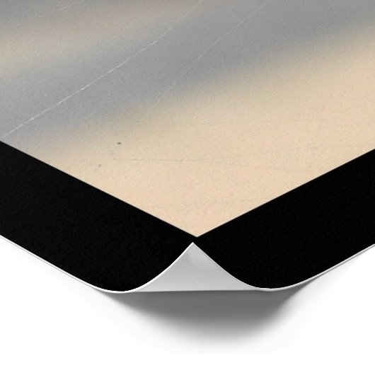 Schrijfspin (Argiope Aurantia) Poster (Hoek)