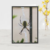 Schrijvende Spin Kaart (Gele Bloem)