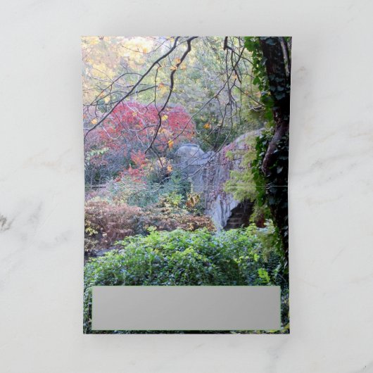 Schrijver: Davey Mandarin Duck Kaart (Binnen)