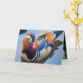 Schrijver: Davey Mandarin Duck Kaart (Gele Bloem)