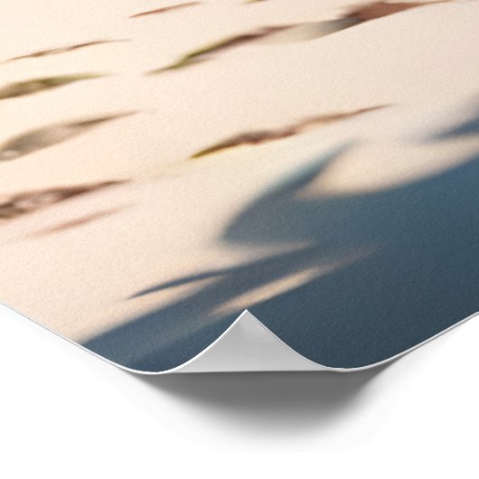 Schrijver: Svace 11 Poster (Hoek)