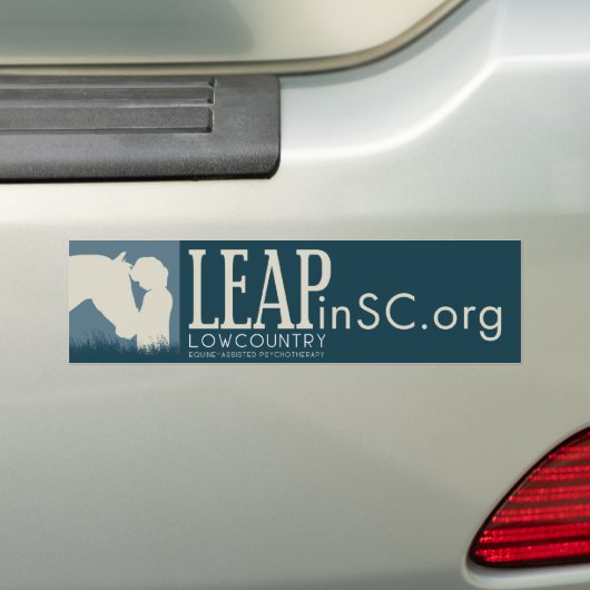 SCHRIKKELENDE BUMPERSTICKER (Op auto)