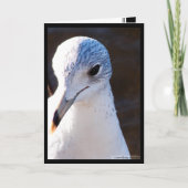 Schril contrast kaart (Voorkant)