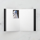 Schril contrast kaart (Binnen)