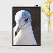 Schril contrast kaart (Gele Bloem)