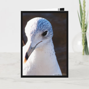 Schril contrast kaart