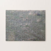 schrobwoestijn legpuzzel (Horizontaal)