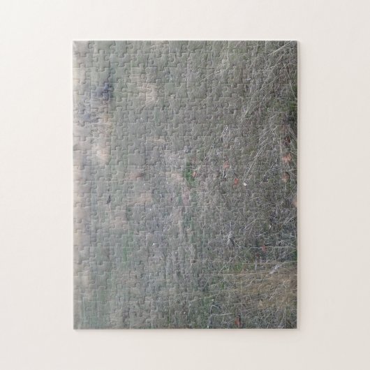 schrobwoestijn legpuzzel (Verticaal)