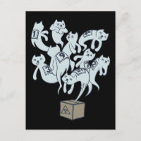 Schrödinger Cat 9 Lives