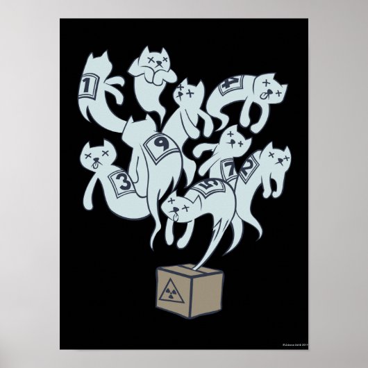 Schrödinger Cat 9 Lives Poster (Voorkant)