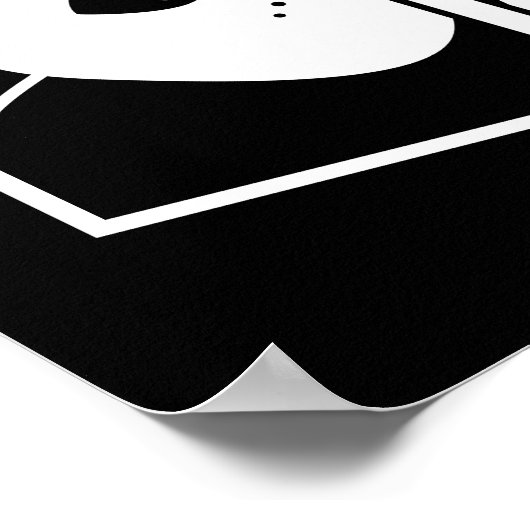 Schrödinger Cat Graphic Poster (Hoek)