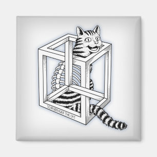 Schrodinger de kat magneet