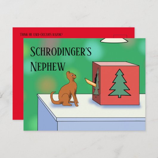 Schrodingerkat en Nephew kerstBriefkaart Briefkaart (Voorkant / Achterkant)