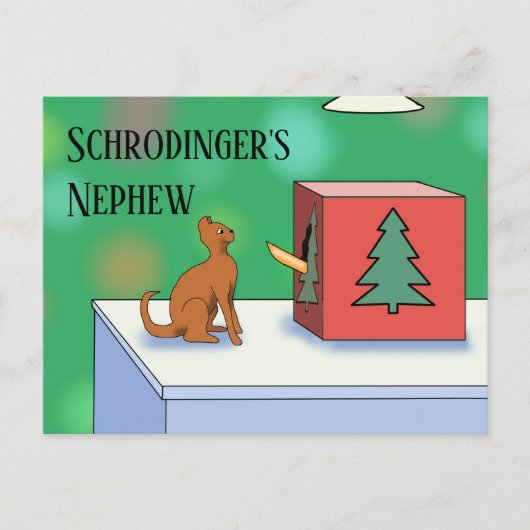 Schrodingerkat en Nephew kerstBriefkaart Briefkaart (Voorkant)