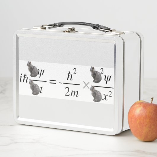 Schrodinger's cat (In situ)