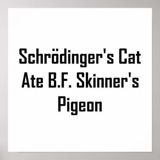 Schrodinger's Cat Ate B.F. Skinner's Pigeon Poster (Voorkant)
