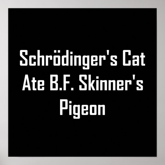 Schrodinger's Cat Ate B.F. Skinner's Pigeon Poster (Voorkant)
